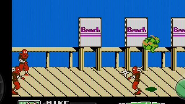 Teenage Mutant Ninja Turtles