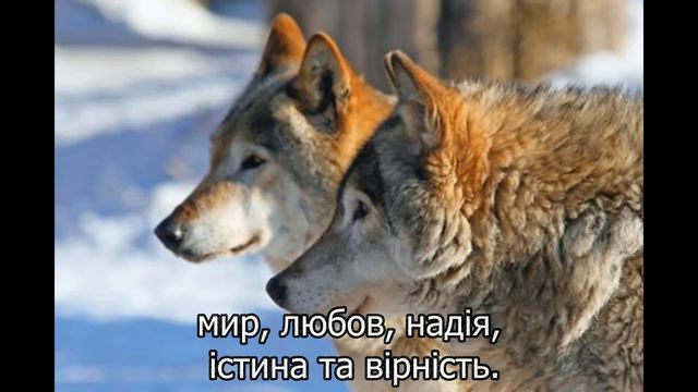 Два Вовки - Притча Невідомого Автора смотреть онлайн