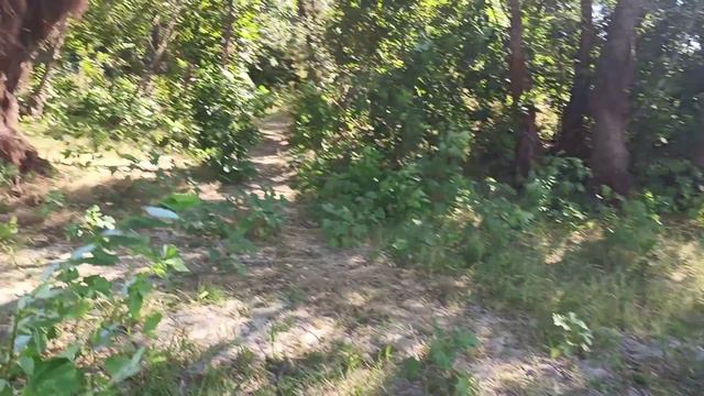 Берег базы Углянское