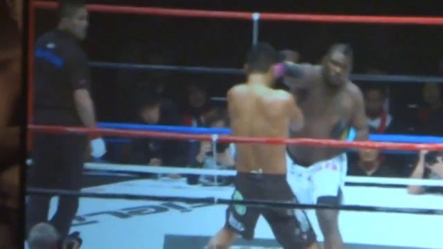 Brett Rogers vs Yusuke Kawaguchi смотреть онлайн