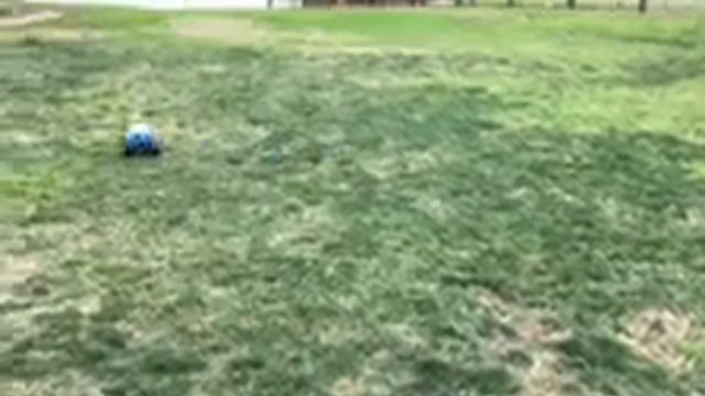 Monster Jam Megalodon RC Amphibious Shark Car смотреть онлайн