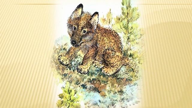 Чарующий мир Евгения Чарушина смотреть онлайн