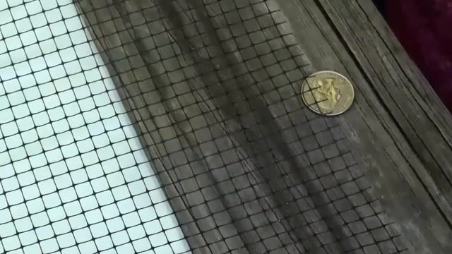 How to Get Bats out of a Building смотреть онлайн