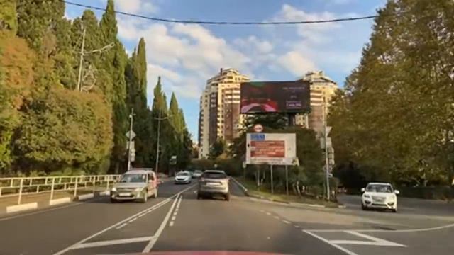 Новости Сочи 29.10.21 Медведи лютуют ! Туристы боятся ! смотреть онлайн