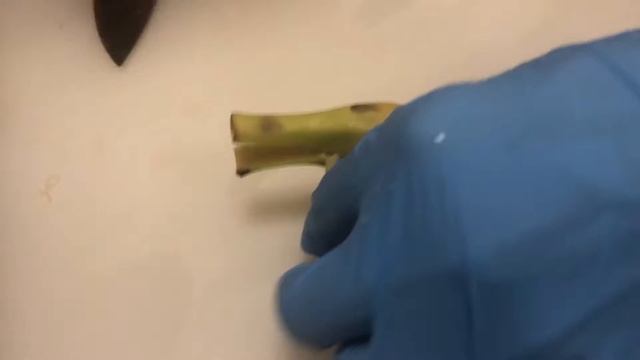 Как прикольно нарезать банан смотреть онлайн