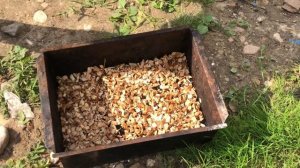 Мойва горячего копчения | Рецепт говно, кот для кликбейта