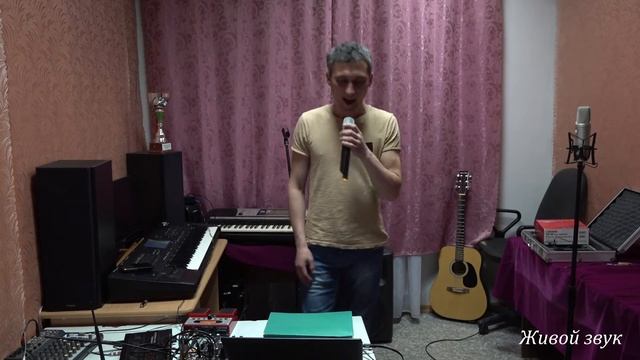 Я то что надо. BOSS VE-20 смотреть онлайн
