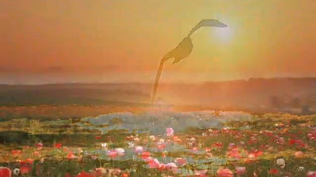 Miroslav Antic - Kroj смотреть онлайн