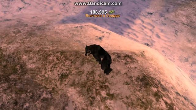 Deer Hunter охота за трофеями регион 28