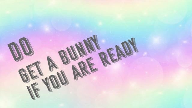 RABBIT DO'S & DONT'S смотреть онлайн