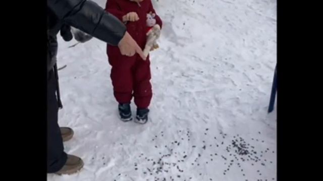 "Покормите птиц зимой", группа "Нерпята" смотреть онлайн