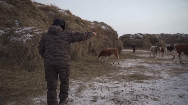 Не себепті біз қалаға көшіп кеттік?Олжасхан қай жерден шыққан?! смотреть онлайн