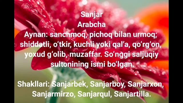 Sanjar Ismining Maʼnosi #Sanjar