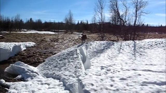 Долина реки Малая Лямпа, Главный Уральский хребет смотреть онлайн