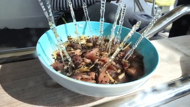 Морская рыбалка с парусной яхты: иглобрюхи, барракуды, окуни и тунец смотреть онлайн
