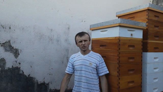 Вся правда о ситуации мёда в Аргентине!!!!!!!!!!!! смотреть онлайн