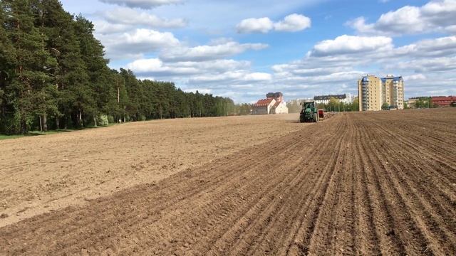 Семенник газонной травы ООО Изумруд