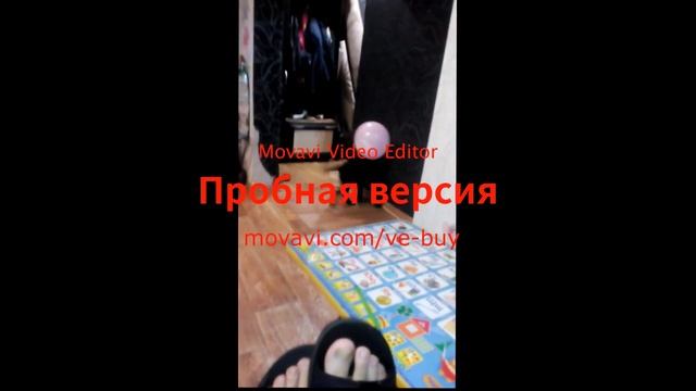 прикольный лабрадор Марта и ее жизнь смотреть онлайн