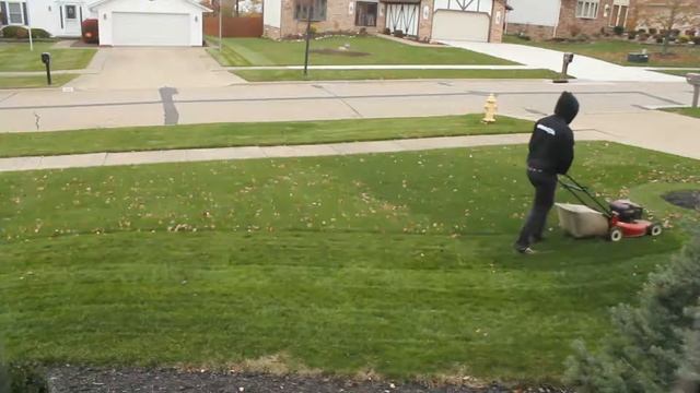 World's fastest grass cutter [HD] смотреть онлайн