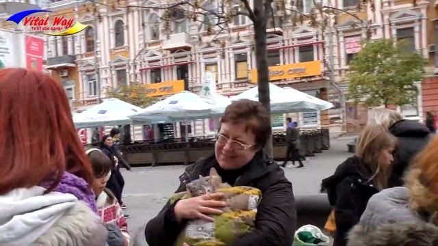 Они хотят семью / "Ковчег" смотреть онлайн