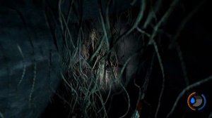 the forest где найти акваланг, ребризер