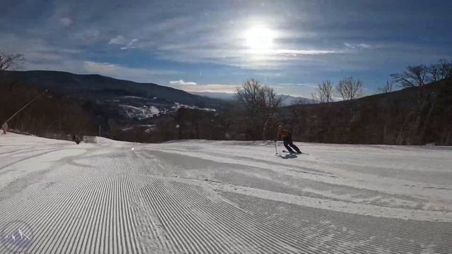 2024 Elan Ripstick 96 - SkiEssentials.com Ski Test