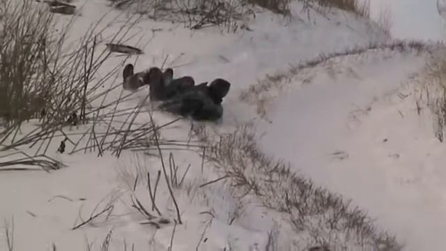 Урыв, декабрь 2008. Катание на горке смотреть онлайн