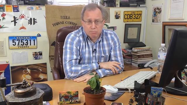 Правда ли, что капучино пьют только утром? смотреть онлайн