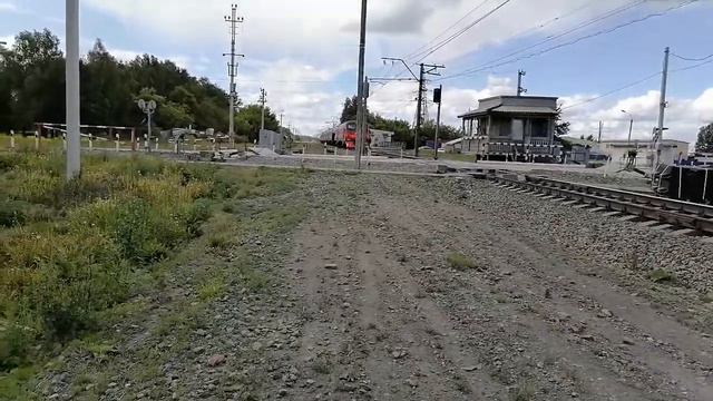 Электропоезд ЭД4М-0154 прибывает и отправляется с о.п. Совхоз Бердский