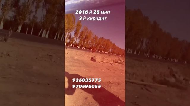 Нексия 3 смотреть онлайн