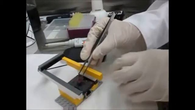 A Revolucionária Placa ePETRI смотреть онлайн