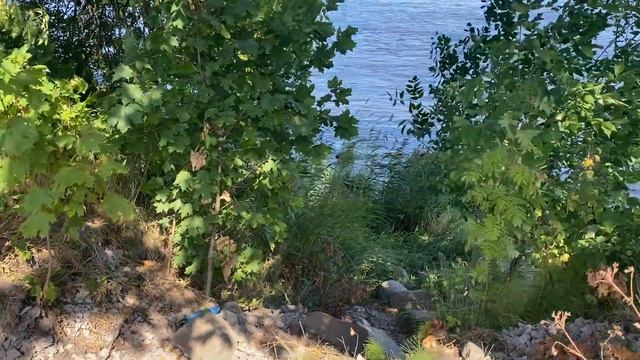 Ленинградская область | поселок имени Морозова смотреть онлайн