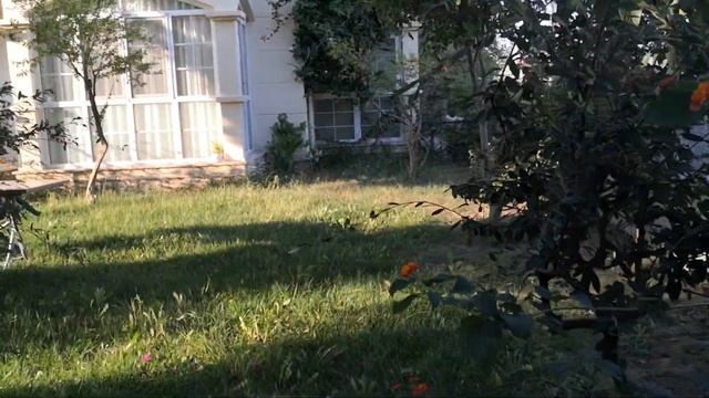 ?? ДАЛАМАН ◈ Теплая осень в Ноябре ◈ Ситэ где я живу ◈ DALAMAN смотреть онлайн