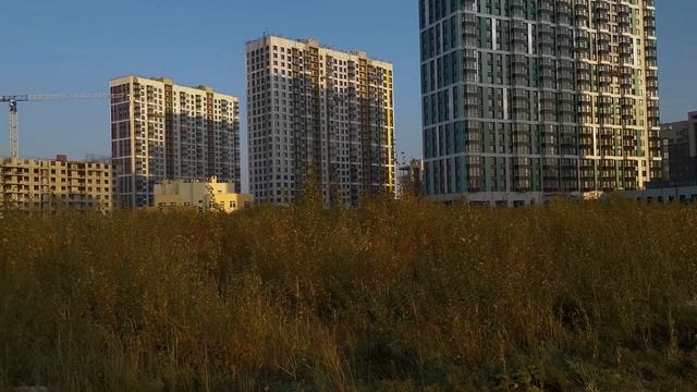 Балтийская Жемчужина [2020] смотреть онлайн