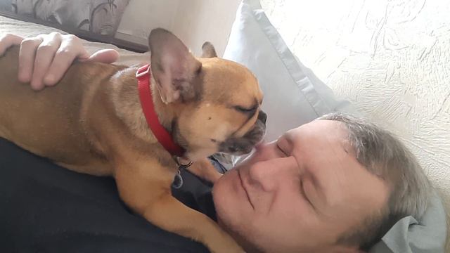 Ты выспался, я гулять хочу) смотреть онлайн
