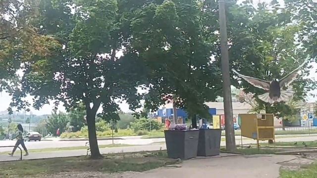 Харьков Салтовка 9 августа 2023 ТРЕВОГИ!!! смотреть онлайн