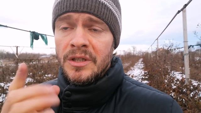 Птицы ч 2, помощники или вредители? смотреть онлайн