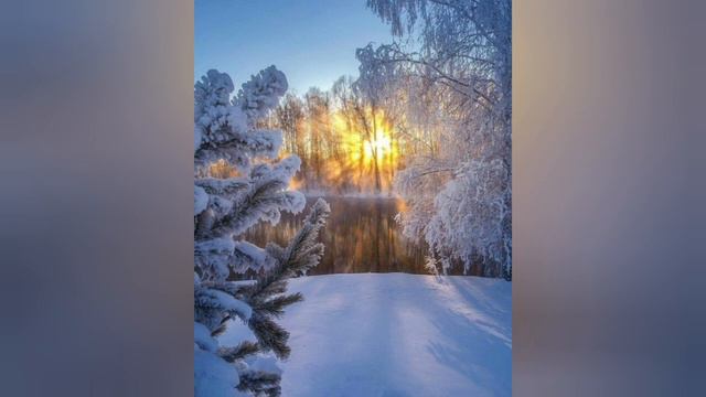 Роздуми над Словом Божим 27.12.21 Євангеліє від Луки 19:37-44.