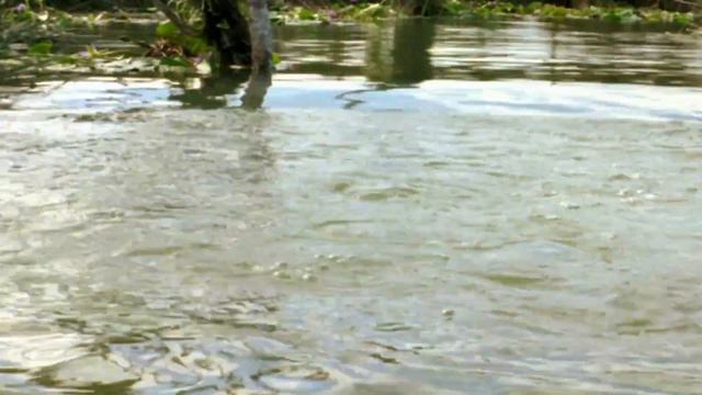 🎥 ANACONDAS THE HUNT FOR THE BLOOD ORCHID (2004) | Movie Trailer | Full HD | 1080p смотреть онлайн