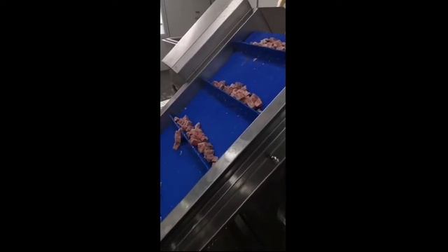 Видео работы машины DRB QK 500 по нарезке замороженного мяса на кубики