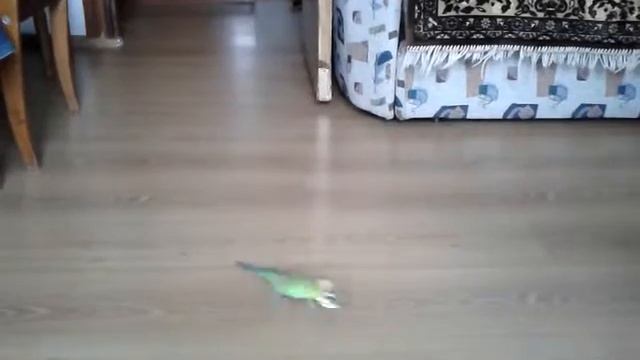 Кешка занимается любовью с бумажку от конфеты смотреть онлайн