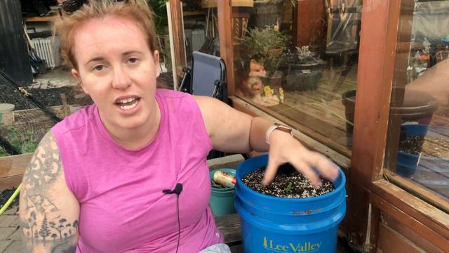 Self Watering Five Gallon Bucket. Perfect For Large Produce & Heavy Feeders | Container Gardening смотреть онлайн