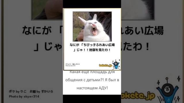 мемы на японском языке №15 (японский язык по мемам)