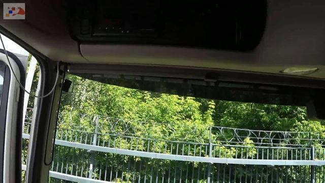 Редкий экземпляр смотреть онлайн