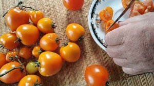 4 сентября 2019г. сорт томата УТЁНОК дегустация с мамой