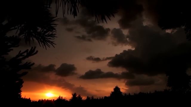 Nature moments HD смотреть онлайн