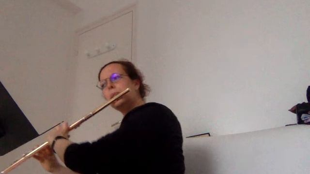 KOHLER Etudes romantiques n°7 Au clair de lune смотреть онлайн