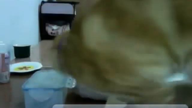 Indian Friend Hood : Cat Wants To Open The Jar смотреть онлайн