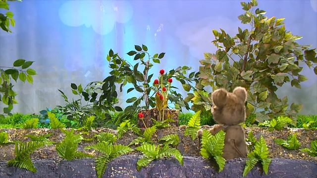 Золотая рыбка | Лесные истории (6+) смотреть онлайн