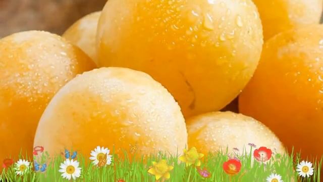 Слива обыкновенная Медовая ? Обзор: посадка и уход. саженцы сливы Медовая: описание и особенности